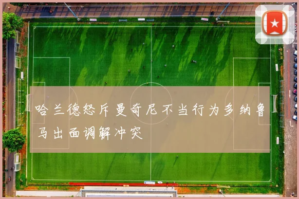哈兰德怒斥曼奇尼不当行为多纳鲁马出面调解冲突