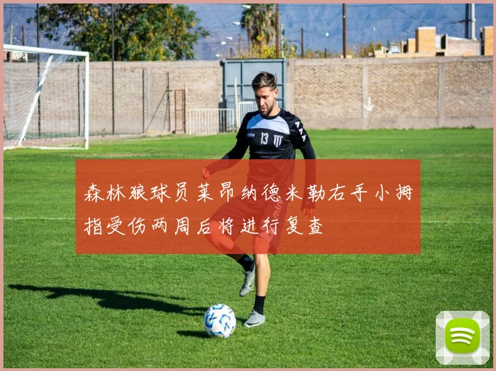 森林狼球员莱昂纳德米勒右手小拇指受伤两周后将进行复查