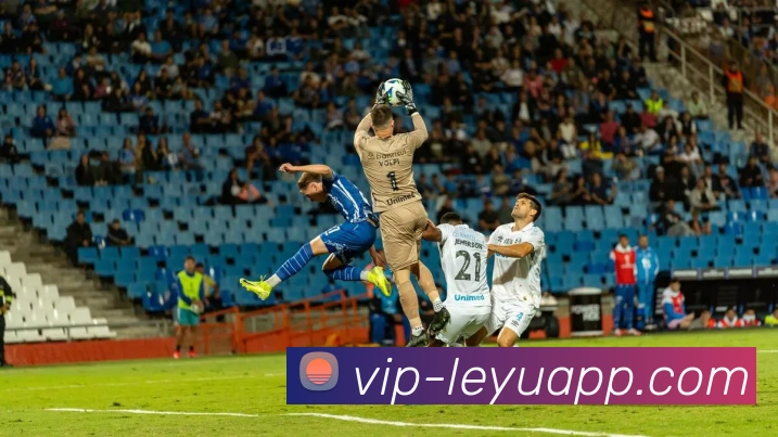 乐鱼体育平台生态图